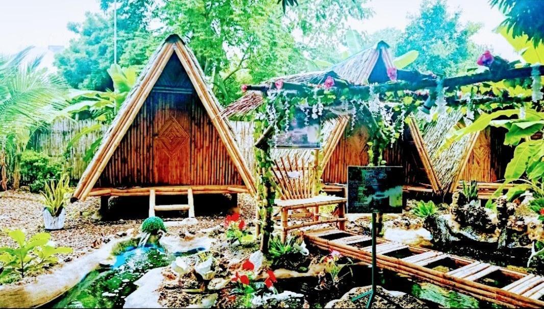 Moalboal Bamboo House / Rooms Exteriör bild