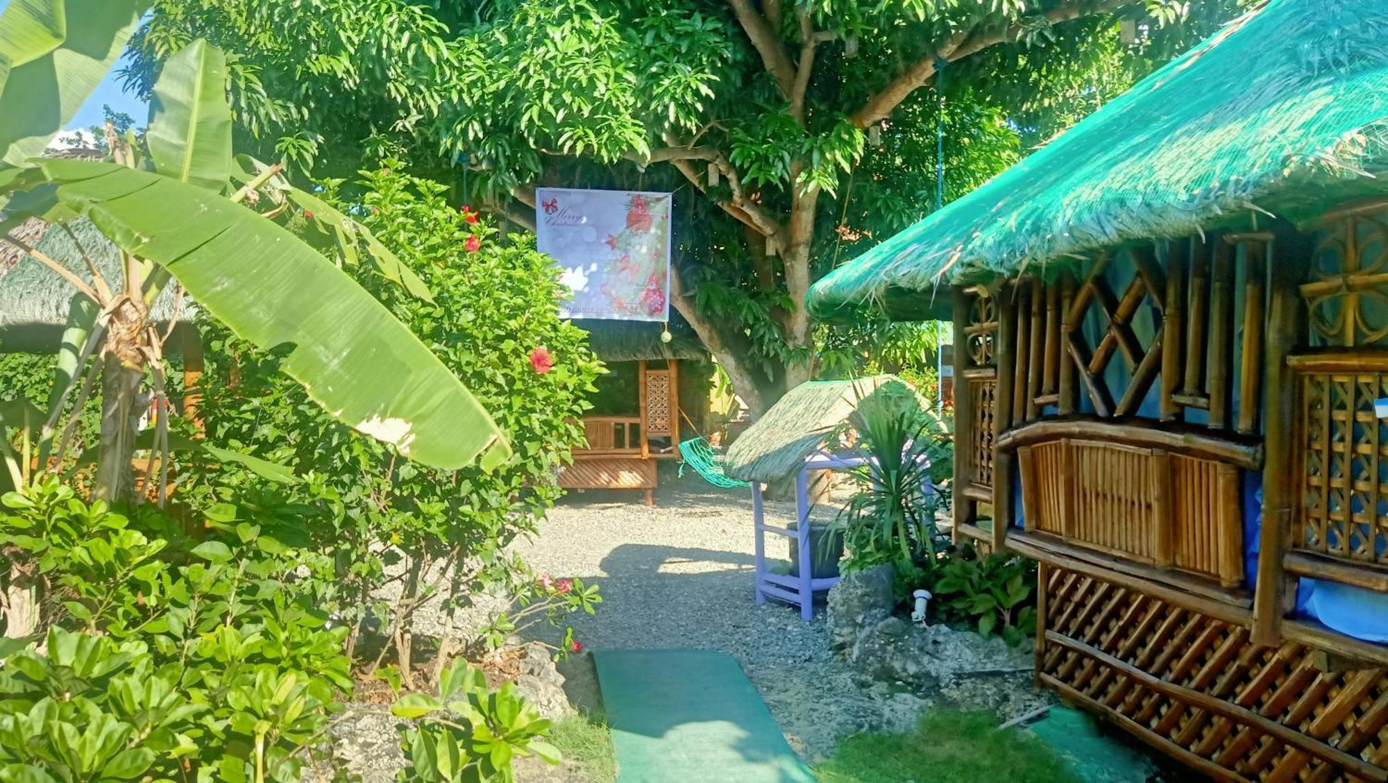 Moalboal Bamboo House / Rooms Exteriör bild