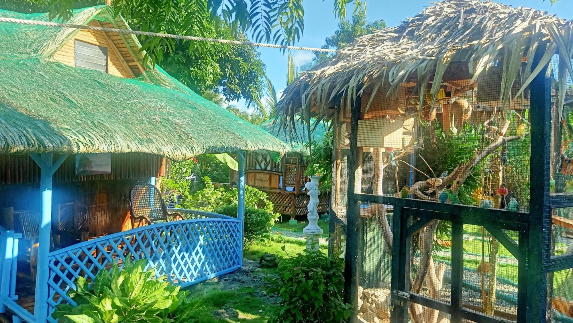 Moalboal Bamboo House / Rooms Rum bild