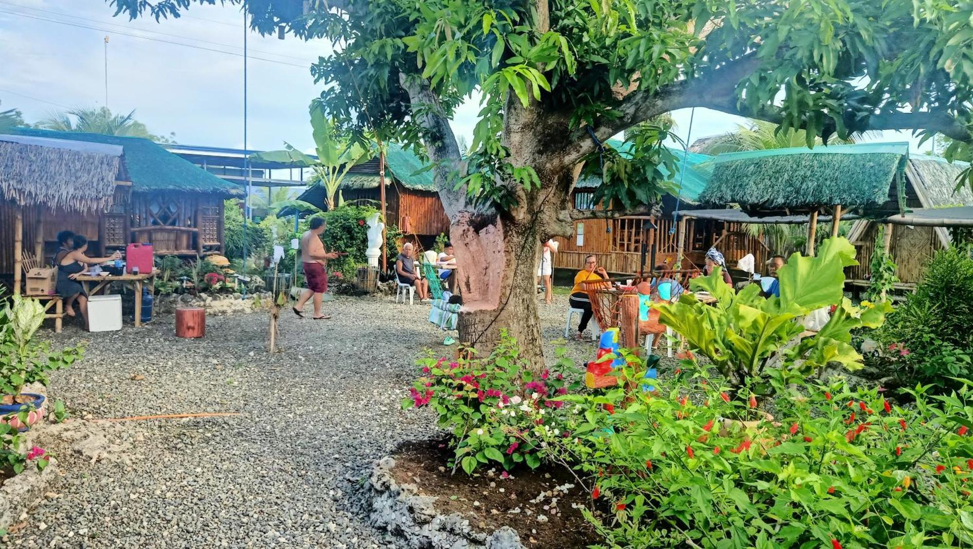Moalboal Bamboo House / Rooms Rum bild