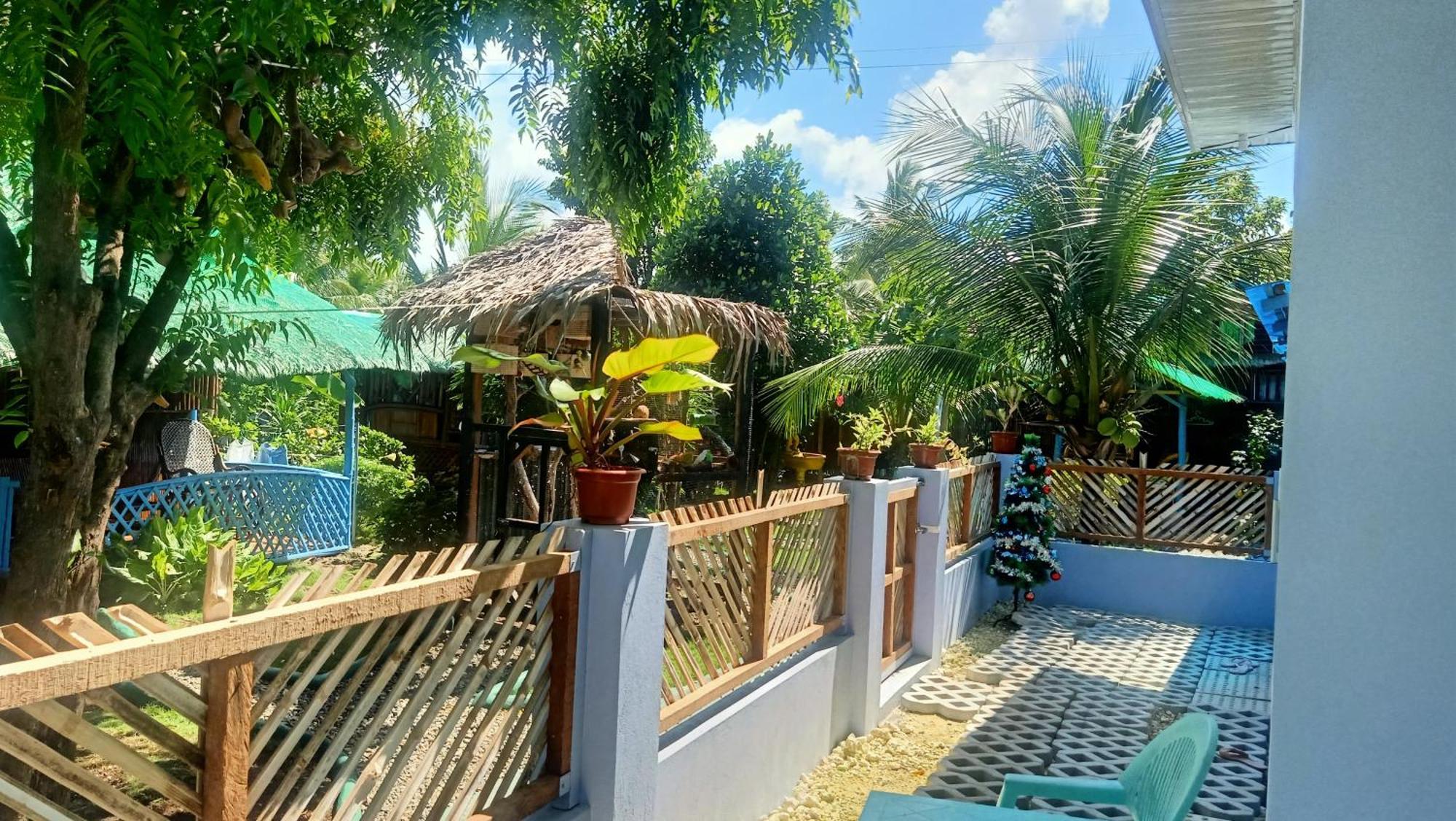 Moalboal Bamboo House / Rooms Rum bild