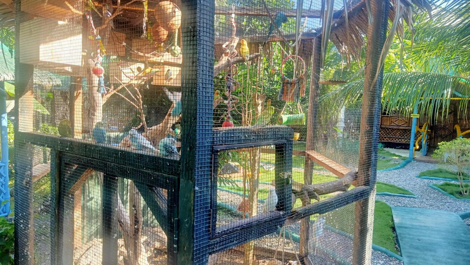 Moalboal Bamboo House / Rooms Rum bild