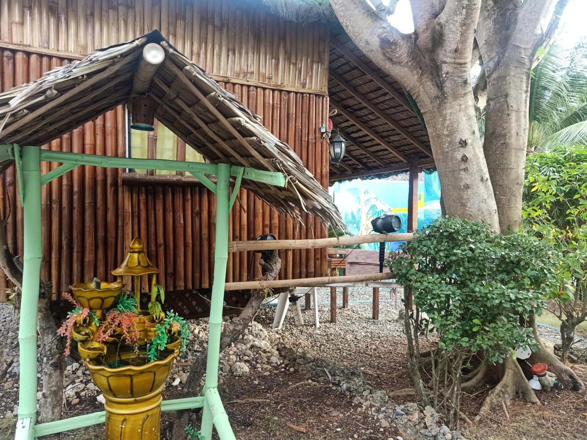 Moalboal Bamboo House / Rooms Rum bild