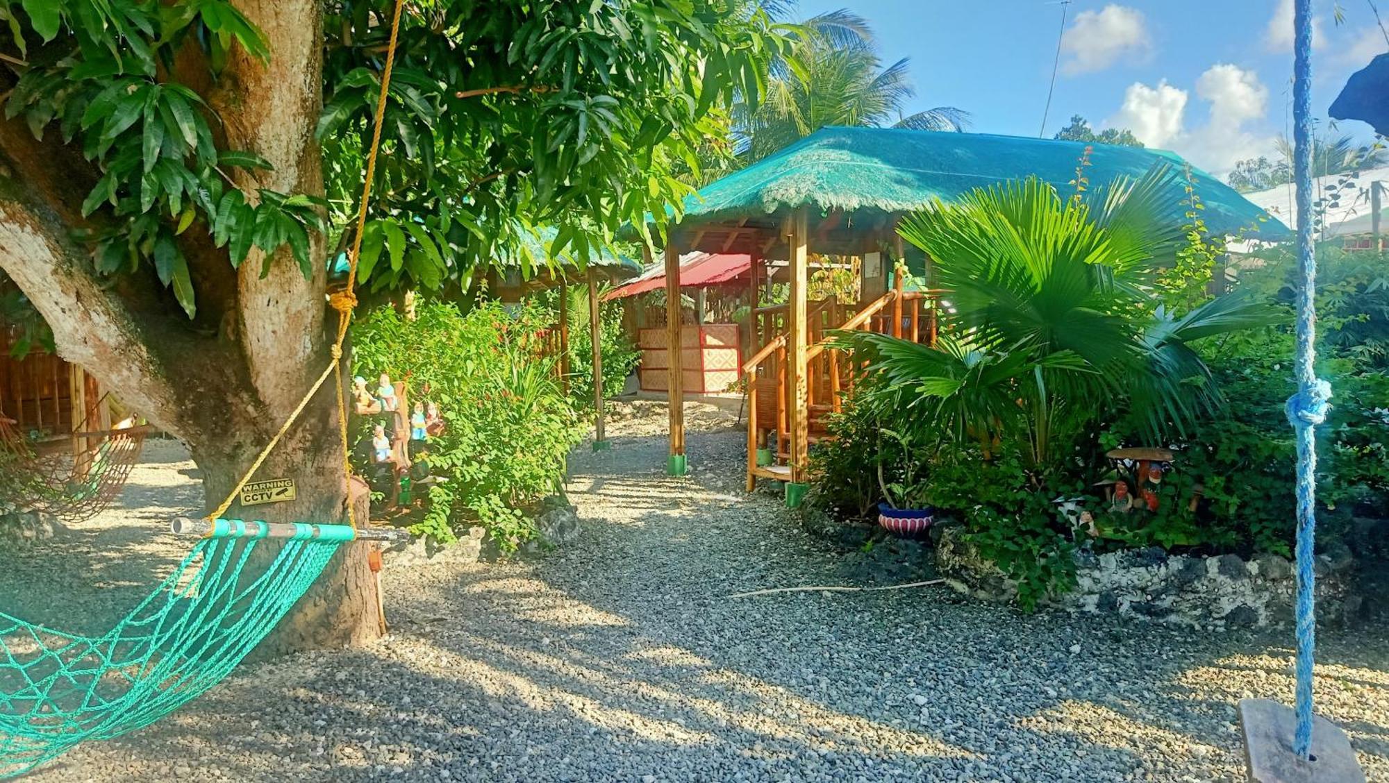 Moalboal Bamboo House / Rooms Rum bild